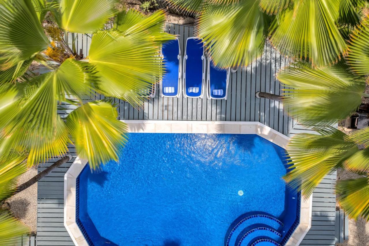 Tropical Divers Resort Kralendijk  Ngoại thất bức ảnh