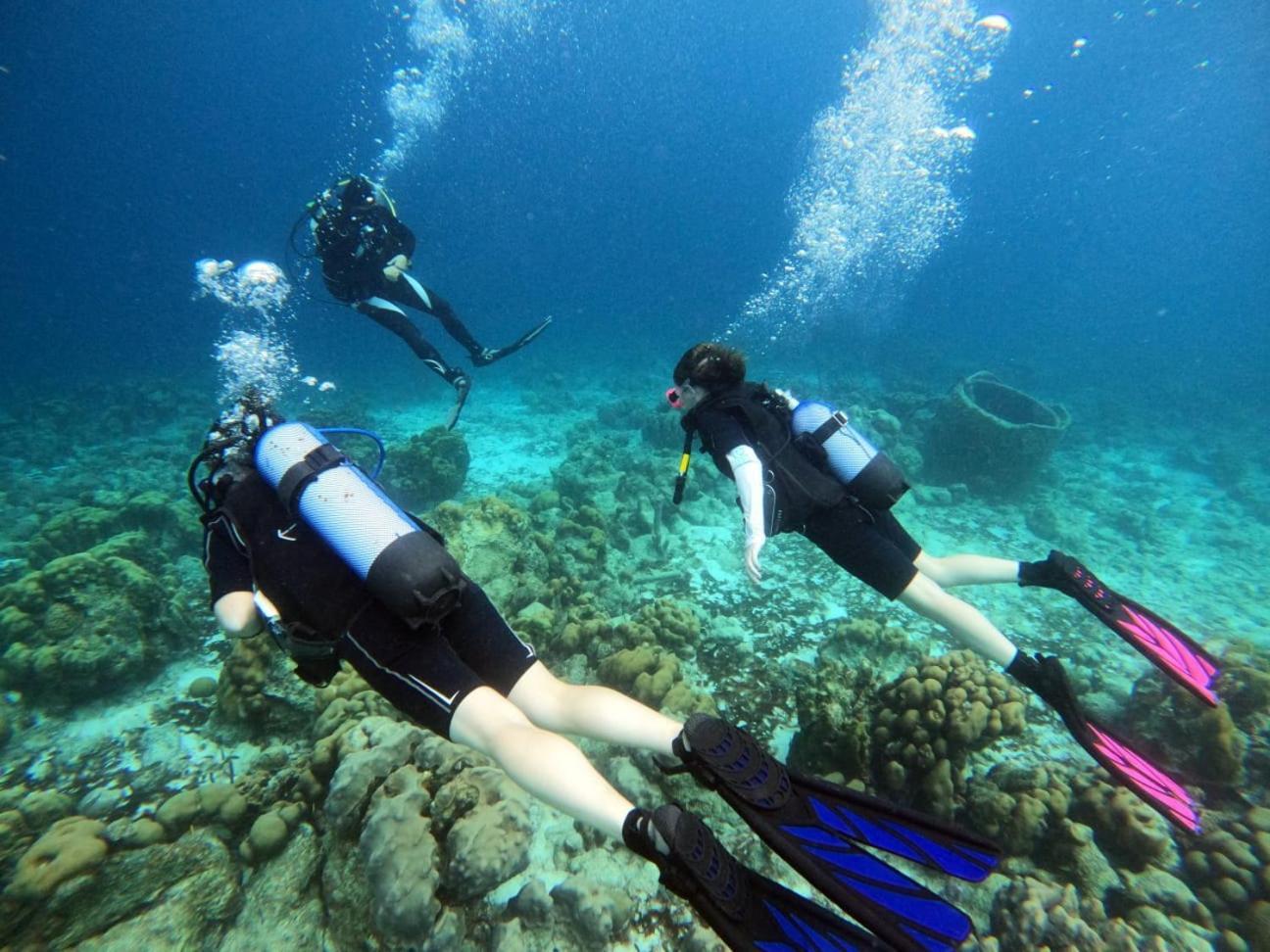 Tropical Divers Resort Kralendijk  Ngoại thất bức ảnh